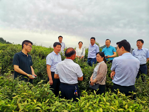 20200608/5eddac062094b.jpg 1.jpg