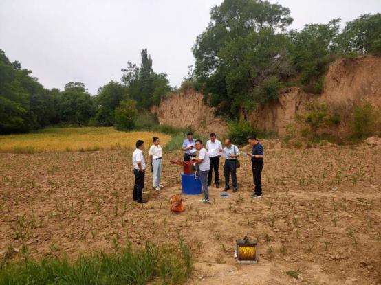 20200617/5ee996bf66624.jpg 3.jpg