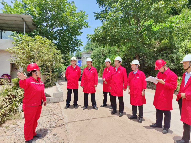 20220718/62d526a45d55b.jpg 1.jpg